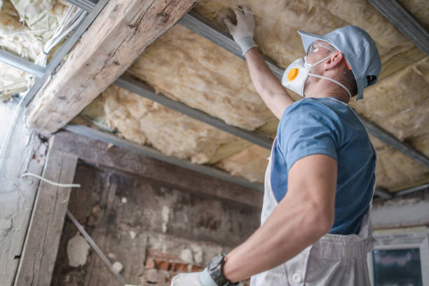 Insulation Contractors for Homes in Altoona, AL