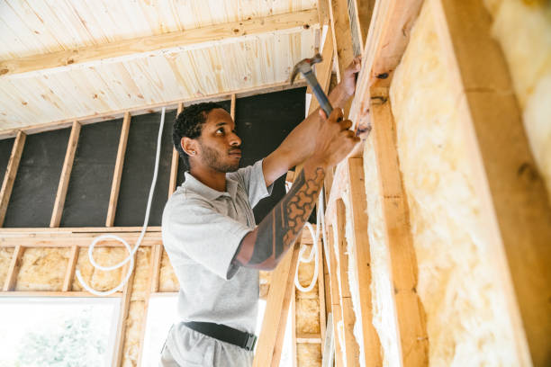 Best Local Insulation Services  in Toona, AL